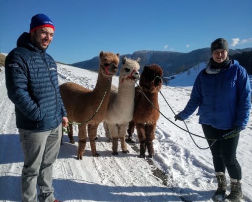 Biobauernhof MItterhirschberg, © Familie Schweighuber Biobauernhof MItterhirschberg, © Familie Schweighuber