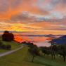 Morgenstimmung, © Melanie Schweighuber Morgenstimmung, © Melanie Schweighuber