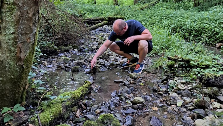 Begehung des Gewässers mit der Spenderpopulation. Kontrolle der Steinkrebsbestände, © © Samuel Auer, Blattfisch Begehung des Gewässers mit der Spenderpopulation. Kontrolle der Steinkrebsbestände, © © Samuel Auer, Blattfisch