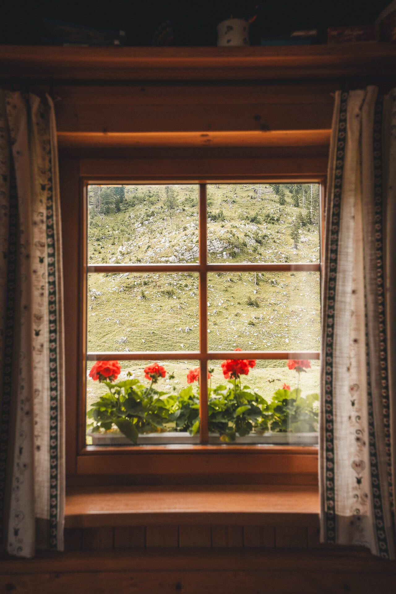 Detailaufnahme der Ybbstalerhütte mit Blick auf die Almlandschaft.