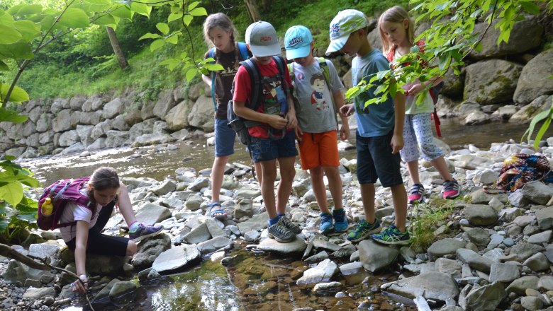 Workshops für Kinder