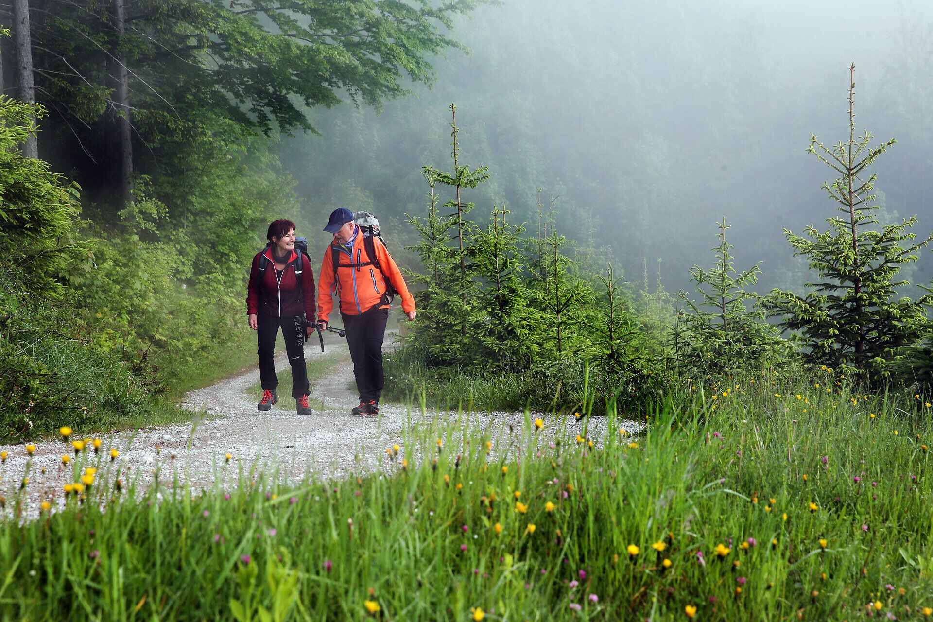 Zwei Pilger wandern auf Schotterweg durch Nebel im Mostviertel.