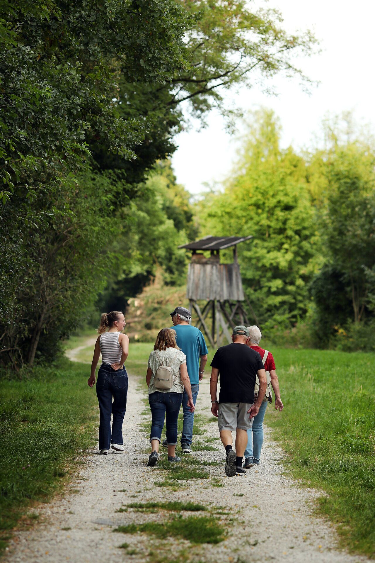 Eine Gruppe wandert auf einer Forststraße im Naturpark Ybbstal im Mostviertel.