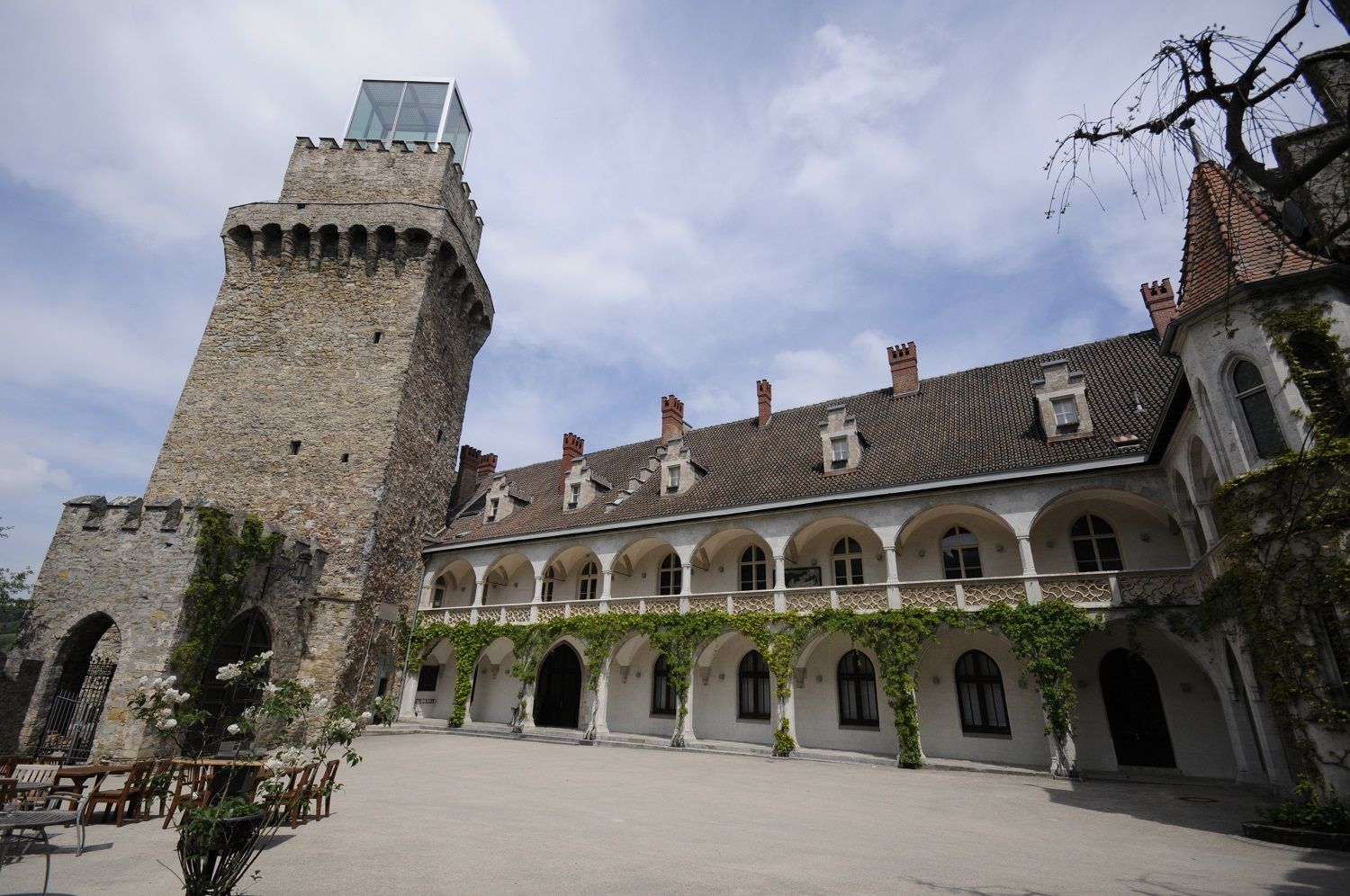 Ein historischer Schlosshof mit einem steinernen Turm und einem Gebäude mit Arkaden und Kletterpflanzen.