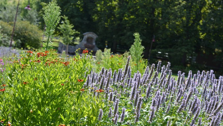G&auml;rten und Parks in Waidhofen an der Ybbs, &copy; Magistrat Waidhofen an der Ybbs