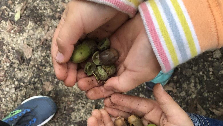 Naturschätze sammeln im Wald - die Kinder im Naturpark- Kindergarten sind ExpertInnen darin!, © Maria Seibt LKG1 Wy