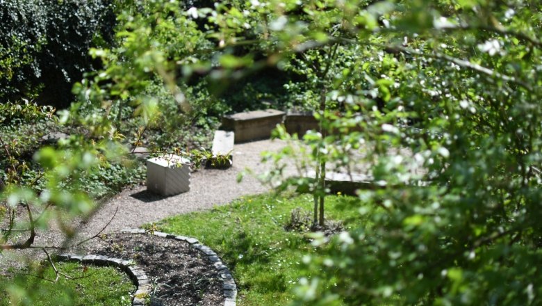 Ein gr&uuml;ner Garten mit B&auml;nken und einem geschwungenen Weg, umgeben von B&auml;umen und Str&auml;uchern.