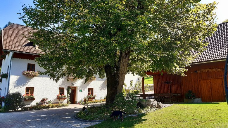 Oberrehau, &copy; Andrea Kronsteiner