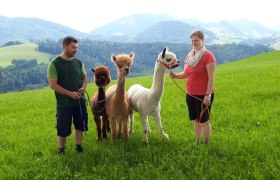Mit den Alpakas wandern, &copy; Urlaub am Bauernhof - Fam. Schweighuber