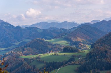 Wandern am Buchenberg, © Stadt Waidhofen a/d Ybbs