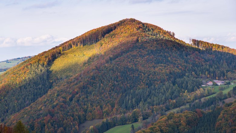 Buchenberg, © Stadt Waidhofen a/d Ybbs