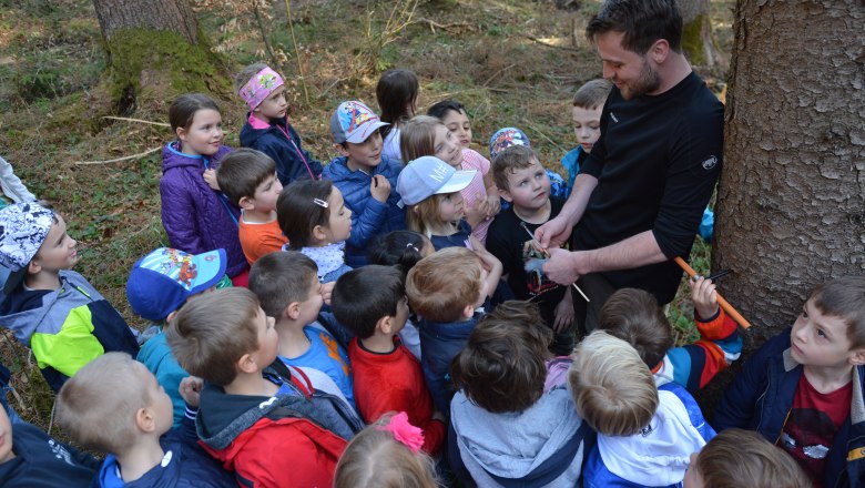 Kinder entdecken den Wald, © Stadt Waidhofen a/d Ybbs