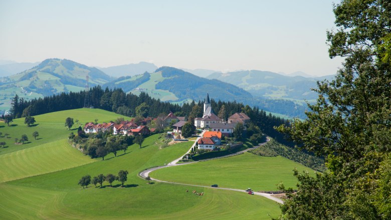 Panoramahöhenweg, © Stadt Waidhofen a/d Ybbs