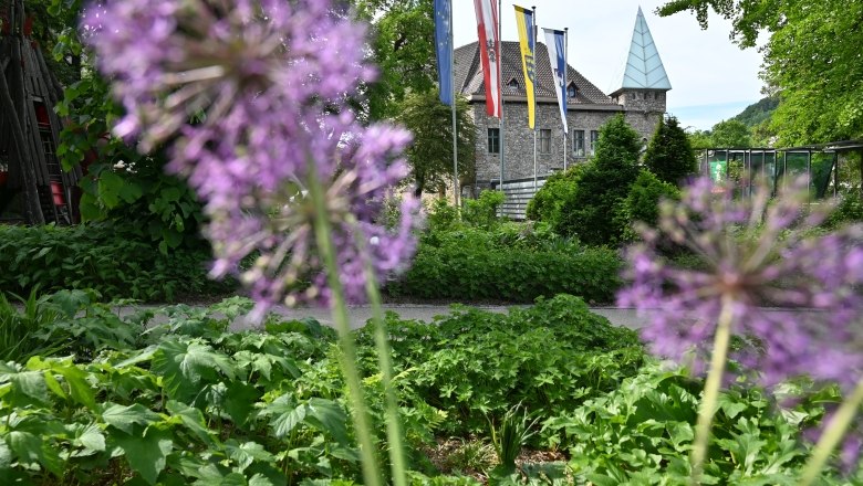 Ein Schloss mit Fahnen im Hintergrund, im Vordergrund lila Blumen und gr&uuml;ne Pflanzen.