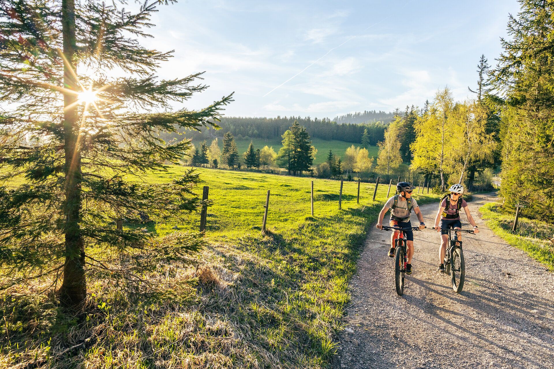 Zwei Mountainbiker fahren auf einer Mountainbike Strecke am Kreuzberg, in der Region Semmering Rax