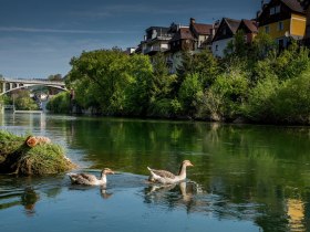 Ybbsuferweg, &copy; Stadt Waidhofen an der Ybbs