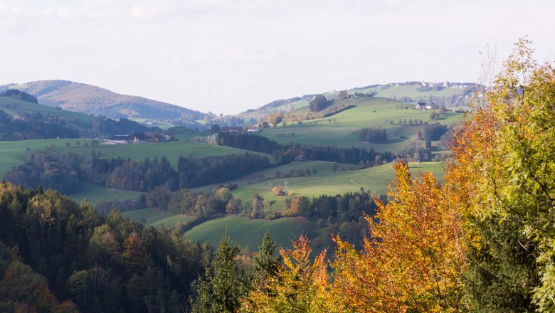 Aussicht Buchenberg, © Stadt Waidhofen a/d Ybbs