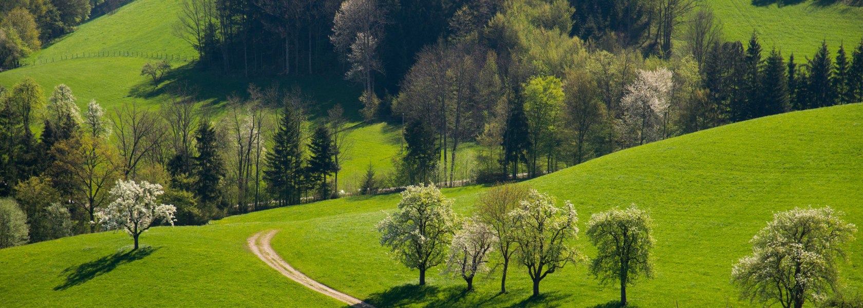 Natur genießen, © Stadt Waidhofen a/d Ybbs