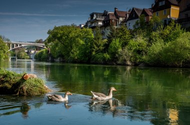 Ybbsuferweg, © Stadt Waidhofen a/d Ybbs